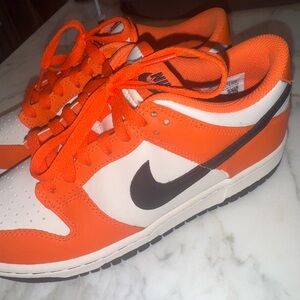 Nike dunks never been worn